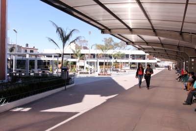 Licenciatura en Contaduría Pública de la BUAP entre los 10 mejores planes de estudio del país