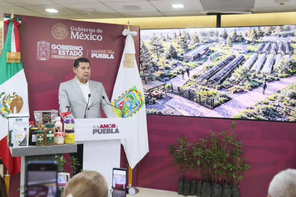 RESCATE DEL IZTA-POPO IMPULSA REFORESTACI&Oacute;N NACIONAL CON APOYO DE LA PRESIDENTA SHEINBAUM