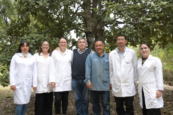 Crean nanomateriales en la BUAP para combatir plagas por gusano barrenador