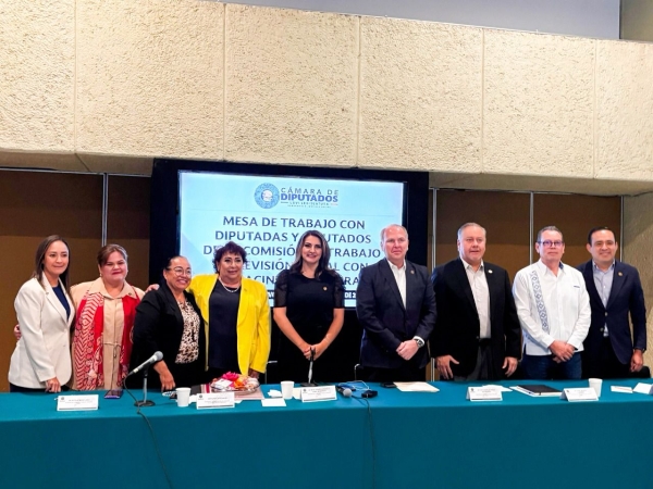Comisión de Trabajo y Previsión Social de San Lázaro se reunió con la titular de la Canacintra
