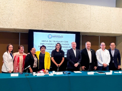 Comisión de Trabajo y Previsión Social de San Lázaro se reunió con la titular de la Canacintra