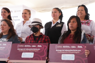 Gobierno de Puebla rescata economía de productores ante heladas atípicas en Chiautzingo