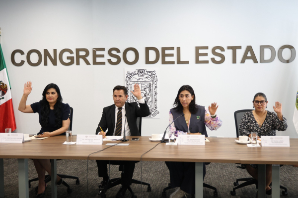 Presenta Comisi&oacute;n del Congreso informe definitivo 2024 de la ASE