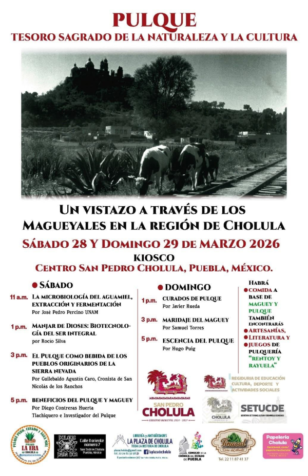 Invitan en San Pedro Cholula al evento &ldquo;Pulque, Tesoro Sagrado&rdquo; para revalorar tradici&oacute;n ancestral