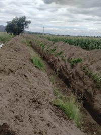 Gobierno del Estado rehabilit&oacute; la barranca Xaltenco en San Nicol&aacute;s Buenos Aires