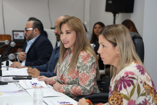 PRESIDE CECI ARELLANO TERCERA SESI&Oacute;N ORDINARIA DEL PATRONATO DEL SEDIF