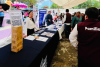 FERIA DE PAZ ACERCA BIENESTAR Y SERVICIOS A LA POBLACI&Oacute;N