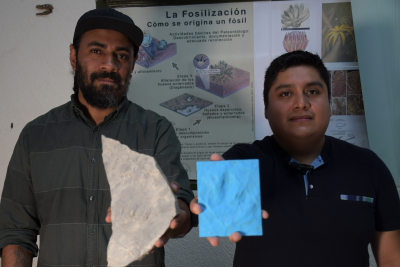 Investigadores BUAP registran nuevas huellas de dinosaurio en Puebla