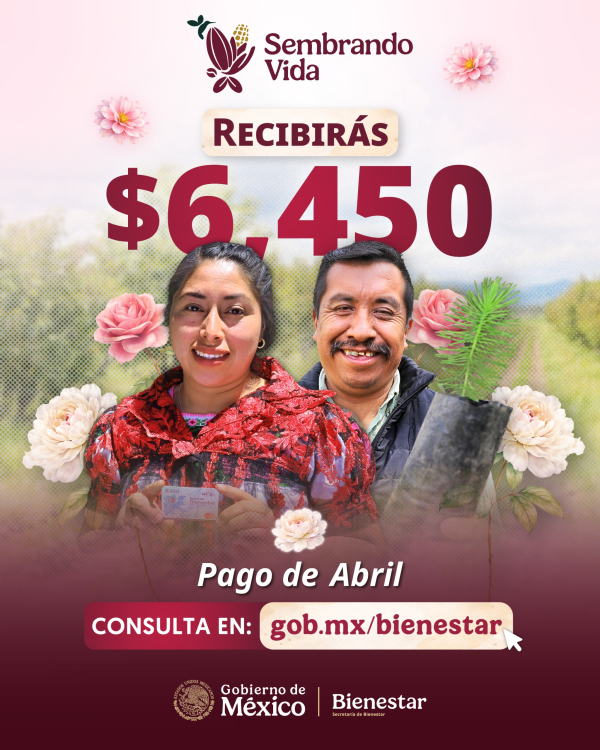 Realiza Sembrando Vida el pago del jornal a 415 mil 499 sembradoras y sembradores del pa&iacute;s
